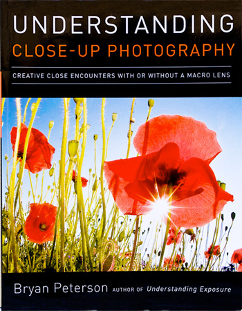 understanding close up photography with or without a macro lens