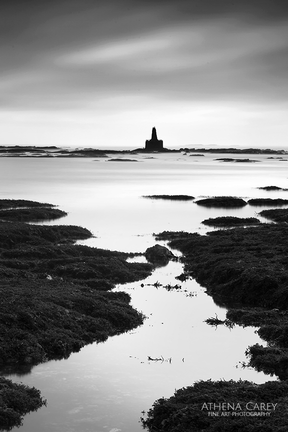 Fitzerald Marine Reserve, California