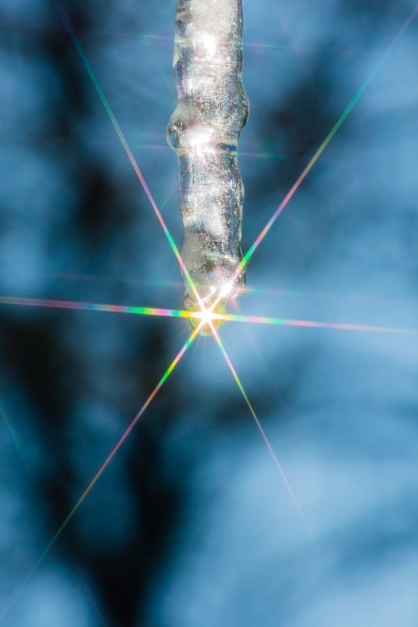 "Icicle Starburst"  By: Carl Mikalauskas