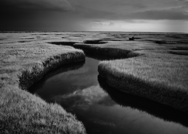 "Salt Marsh on Cape Cod" By: J Klingel