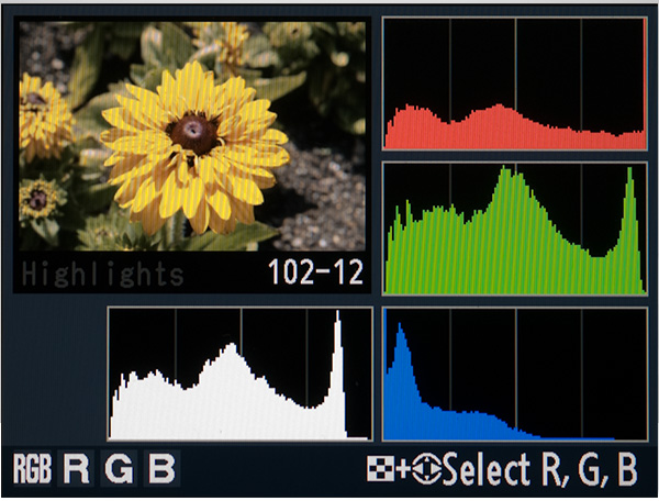 Check the histogram - shoot to the right!