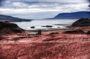 "Create other-worldly colour with infra-red".