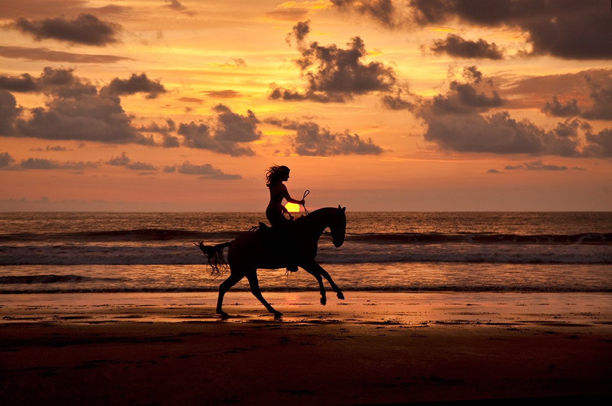Start riding. Лошади на закате. Всадник на закате. Лошади на закате на берегу моря. Лошади и море.