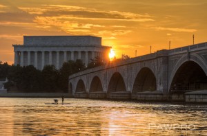 "Summer Along the Potomac" By: Amy Doherty