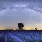 Milky Way, Provence, lavender, stars, mike, shaw, mike shaw, bps, nightscape