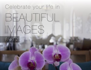 Celebrate Your Life in Beautiful Images Part 2