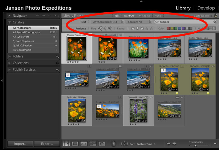 Lightroom Filters