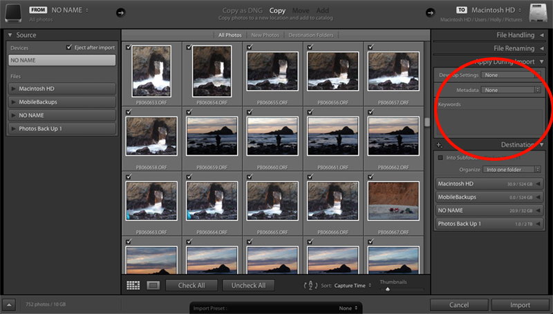 Lightroom Import-Screen